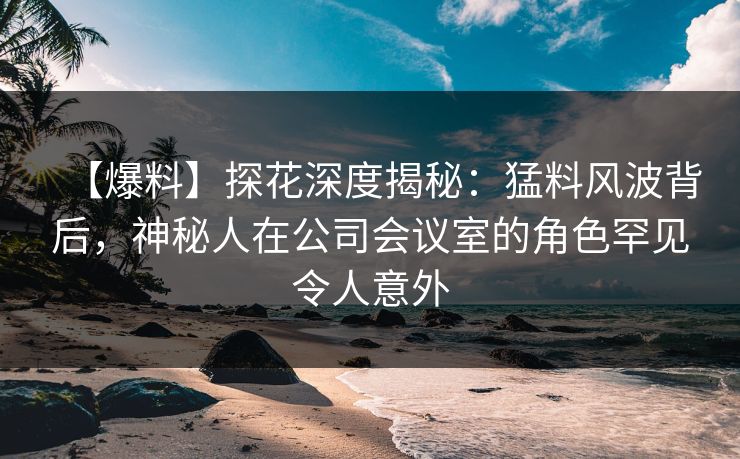【爆料】探花深度揭秘：猛料风波背后，神秘人在公司会议室的角色罕见令人意外