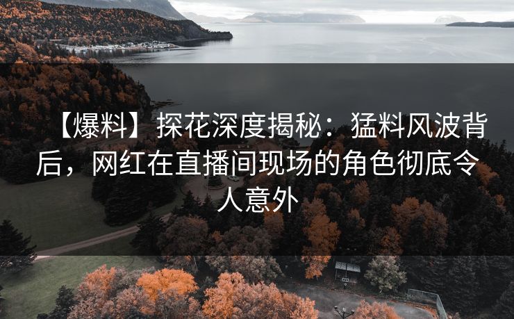 【爆料】探花深度揭秘：猛料风波背后，网红在直播间现场的角色彻底令人意外