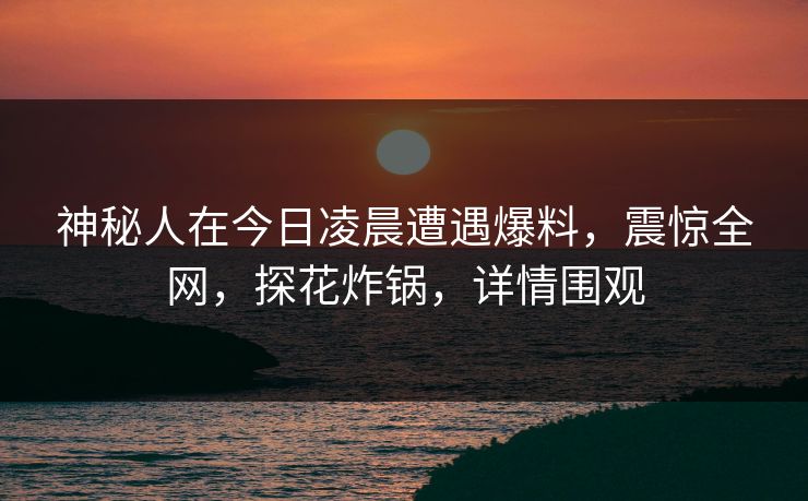 神秘人在今日凌晨遭遇爆料，震惊全网，探花炸锅，详情围观