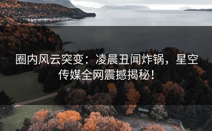 圈内风云突变：凌晨丑闻炸锅，星空传媒全网震撼揭秘！