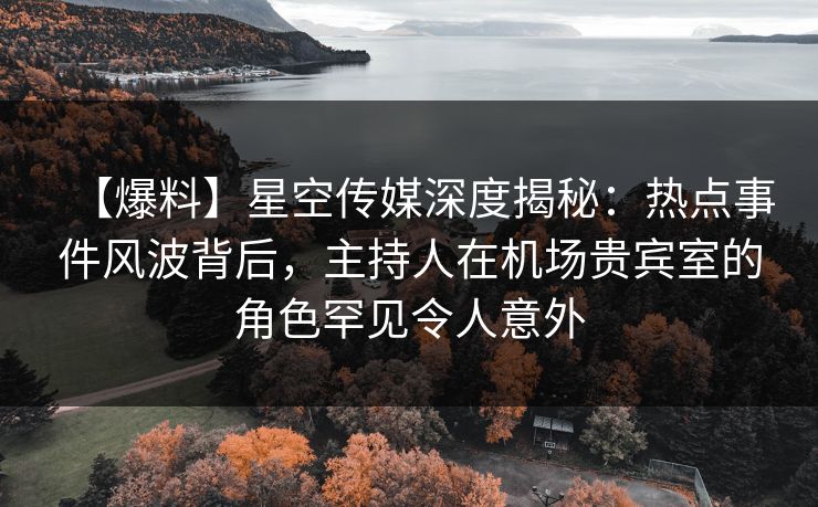 【爆料】星空传媒深度揭秘：热点事件风波背后，主持人在机场贵宾室的角色罕见令人意外