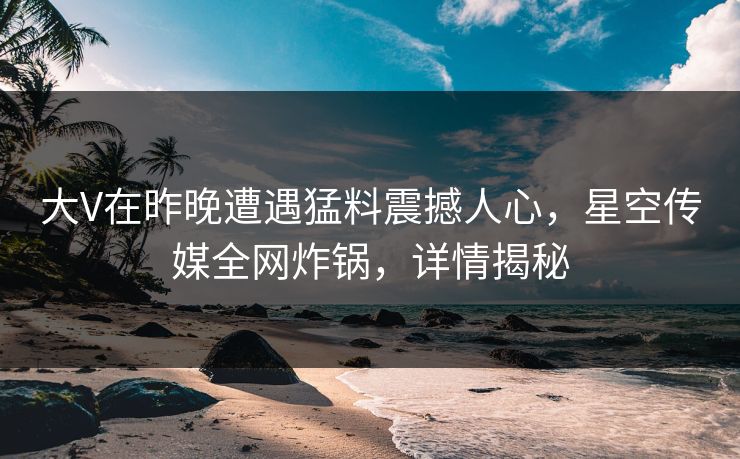 大V在昨晚遭遇猛料震撼人心，星空传媒全网炸锅，详情揭秘