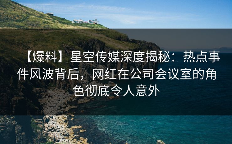 【爆料】星空传媒深度揭秘：热点事件风波背后，网红在公司会议室的角色彻底令人意外
