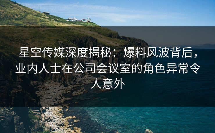 星空传媒深度揭秘：爆料风波背后，业内人士在公司会议室的角色异常令人意外