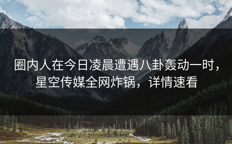 圈内人在今日凌晨遭遇八卦轰动一时，星空传媒全网炸锅，详情速看
