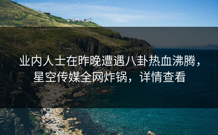 业内人士在昨晚遭遇八卦热血沸腾，星空传媒全网炸锅，详情查看