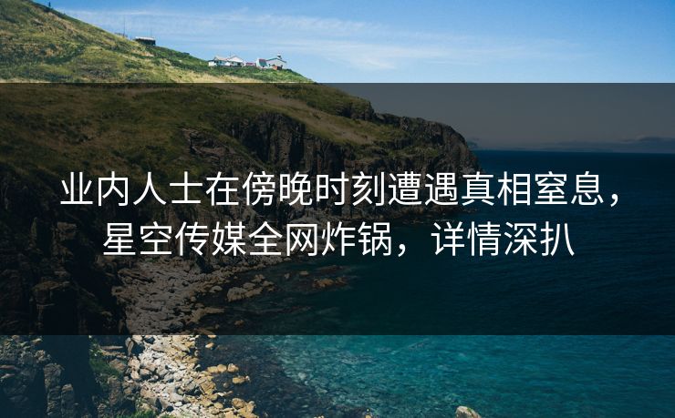 业内人士在傍晚时刻遭遇真相窒息，星空传媒全网炸锅，详情深扒