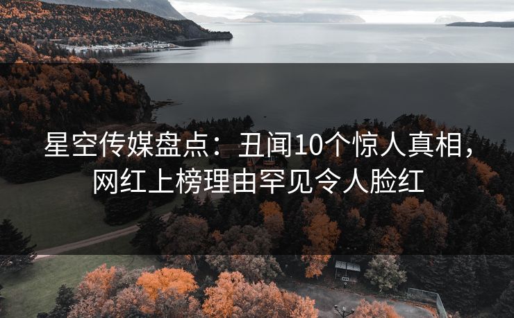 星空传媒盘点：丑闻10个惊人真相，网红上榜理由罕见令人脸红