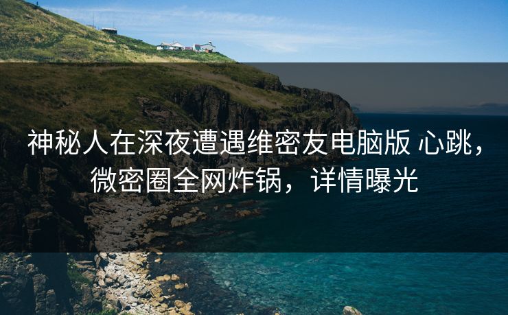 神秘人在深夜遭遇维密友电脑版 心跳，微密圈全网炸锅，详情曝光
