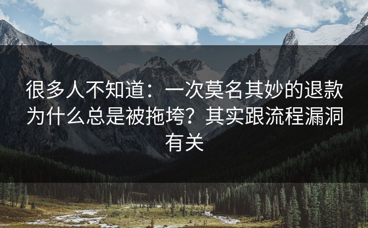 很多人不知道：一次莫名其妙的退款为什么总是被拖垮？其实跟流程漏洞有关